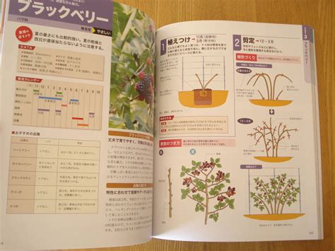 ヤフオク 果樹の上手な育て方大事典 小林幹夫 果樹栽培 ベ