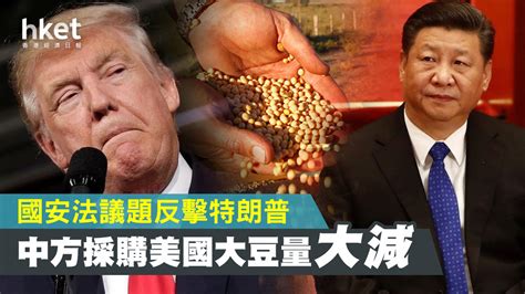 【港區國安法】中方反擊特朗普再添動作？採購美國大豆量大減 香港經濟日報 中國頻道 經濟脈搏 D200602