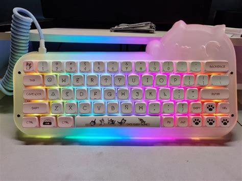 Bongo Cat Acrylic Mechanical Keyboard Kit Computers Tech Parts