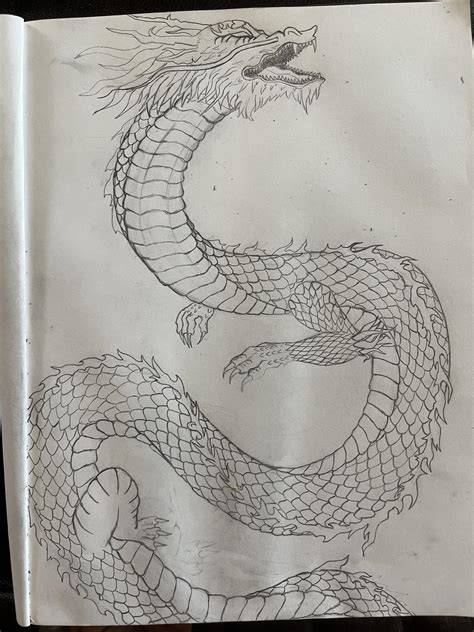 Dragon sketch : r/drawings