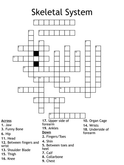 Skeletal System Crossword WordMint