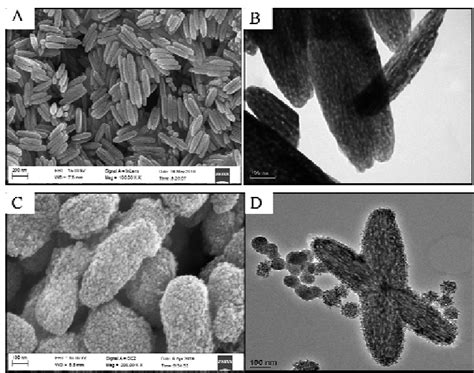 A Sem Image Of As Prepared Fe O Nanorods B Tem Image Of Fe O