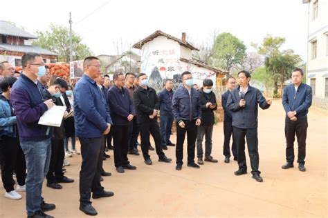 沾益区召开2023年3月乡村建设暨农村人居环境整治提升现场推进会 曲靖市沾益区人民政府 沾益区人民政府网沾益区人民政府沾益区政府云南省