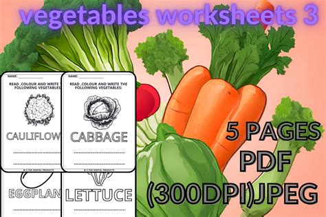 Vegetables Worksheets 3 Freebies Graphic By M S For Digital Products · Creative Fabrica