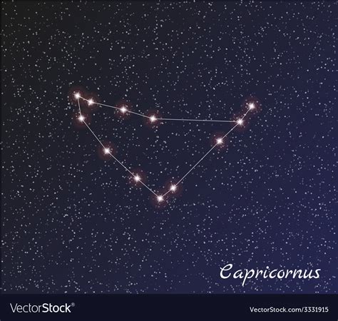 constellation capricornus royalty  vector image