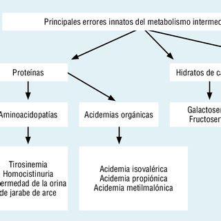 PDF Errores innatos del metabolismo intermediario Propuesta de guía