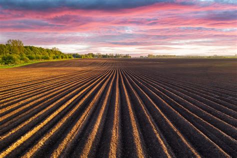 Buenas prácticas Cómo cuidar el suelo agrícola Blog Aepla