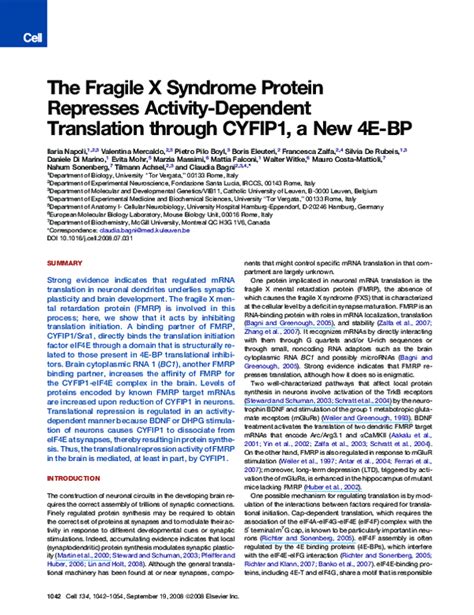 Pdf The Fragile X Syndrome Protein Represses Activity Dependent