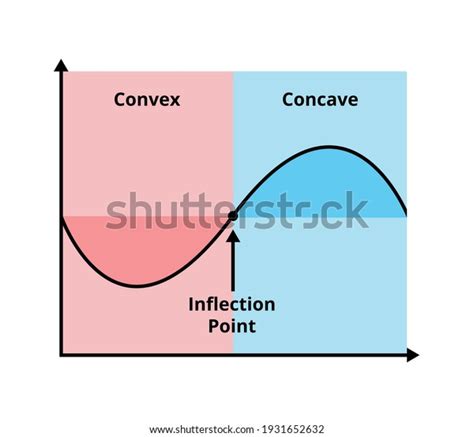 Vector Educational Graph Scheme Convex Function Stock Vector (Royalty ...