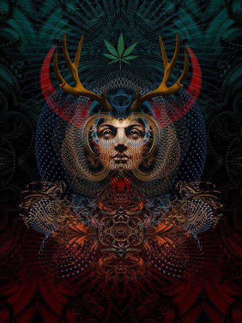 visual design  behance