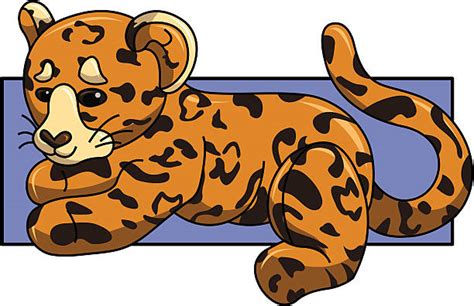 50 Clouded Leopards Illustrations Royalty Free Vector Graphics And Clip