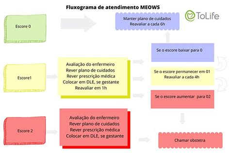 News Meows E Pews O Que São E Como Funcionam