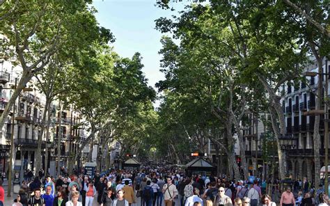 Acheteur Tribu Bourbier Things To Do In Las Ramblas Chasser Rideau Erreur