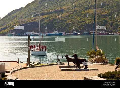 Bronze Statue Newfoundland Dog Labrador Retriever Stock Photo Alamy