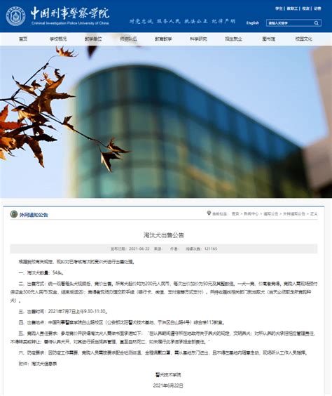 中国刑警学院竞售54只淘汰受训犬淘汰理由萌翻网友 xkb