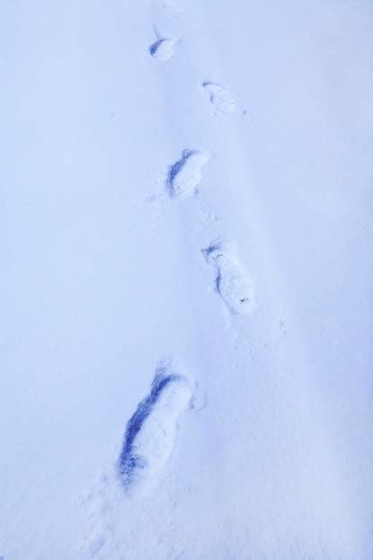 Premium Photo | Footprints in the snow