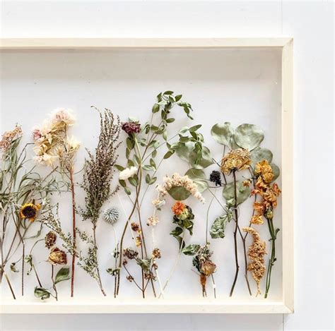 Emilie Kleist: Preserving Dried Flowers In A Frame - Pre Order Gloria ...