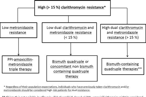 H pylori antibiotic treatment options