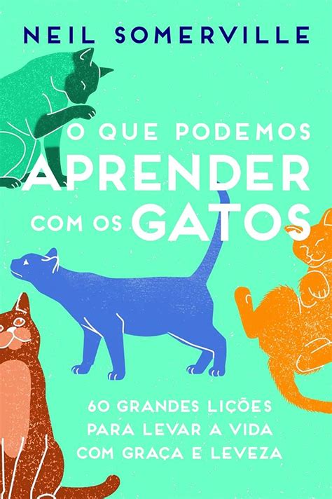 Brincadeiras Para Gatos O Guia Definitivo De Como Entreter E Vivencie