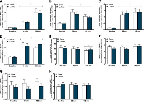 Figure From The Lactate Receptor Gpr Is Predominantly Expressed In