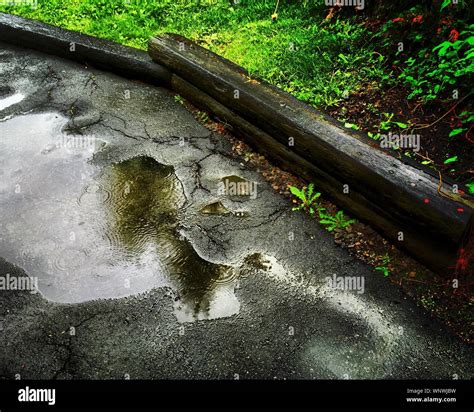 Water Puddle High Resolution Stock Photography And Images Alamy