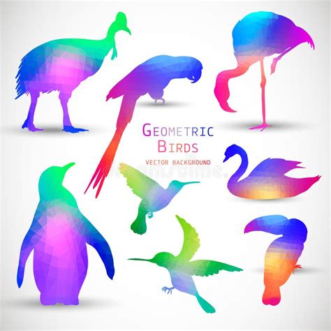 Grupo De Pássaros Geométricos Coloridos Das Silhuetas Ilustração do