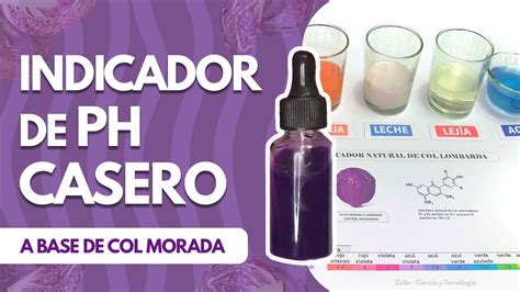 Indicador De Ph Natural De Col Morada Youtube