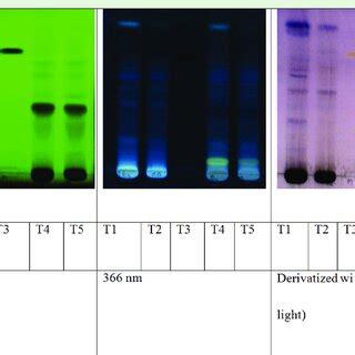 Comparative High Performance Thin Layer Chromatography Profile Of