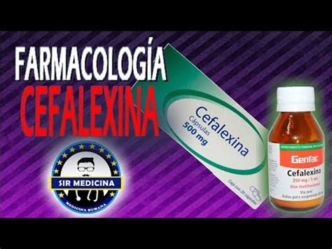 qué Es La Cefalexina 500 Mg Y Para Qué Sirve Vivebio la web de la