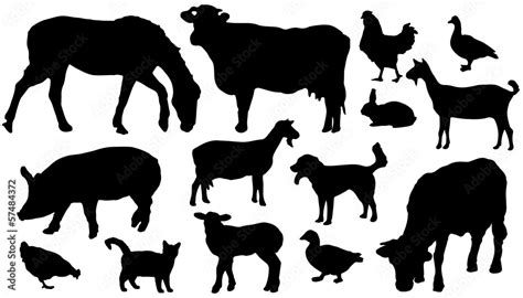 Farmanimalssilhouettes Stock Vector Adobe Stock