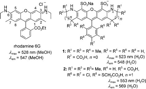 Rhodamine 6g And Its Sulfonated Commercially Available Analogues With