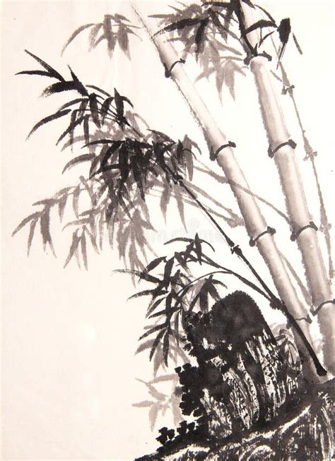 Bamboo Ink Painting Hand Drawn Stock Illustration Illustration Of