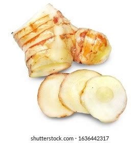 Fresh Galangal Alpinia Galanga Lengkuas Laos Stock Photo