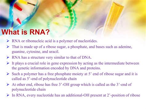 Types of RNA | PPT