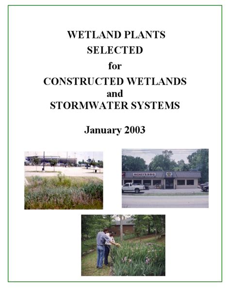 Wetland Plants Selected For Constructed Wetlands and Stormwater Systems ...