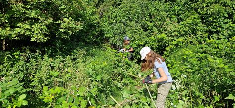 Veranstaltungen Balger Natur Umwelt Und Naturschutz Im Rheintal