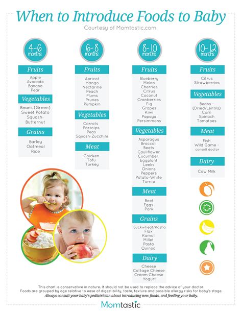 solid food chart  babies aged  months   months find age  foods