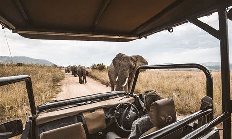 Los Mejores Safaris En África Para Primerizos Travel Report