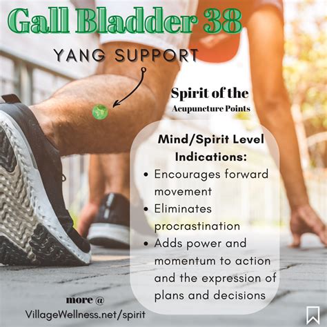 Gall Bladder 38 Yang Support An Acupuncture Point For Eliminating