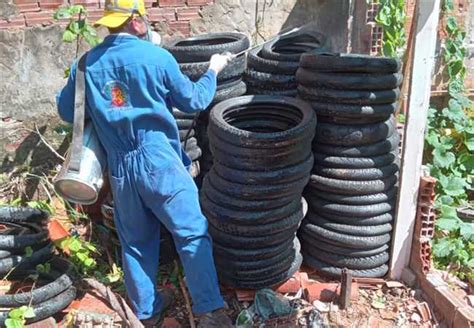 Prefeitura Municipal de Ilhéus Índice de infestação do mosquito da