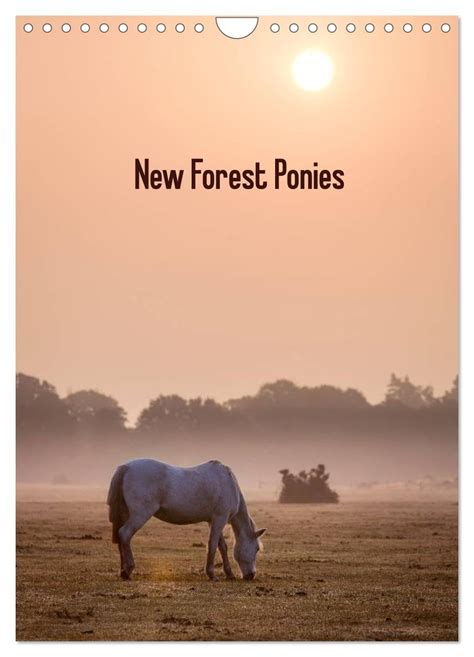 New Forest Calendar 2025 Calendar Gabriel Imran