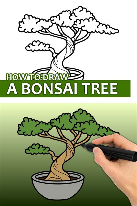 How To Draw A Bonsai Tree Trees Drawing Tutorial Tree Drawing