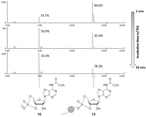 Hplc Chromatograms And Esi Mass Spectra Of The Enzymatic Hydrolysis Of Download Scientific Diagram