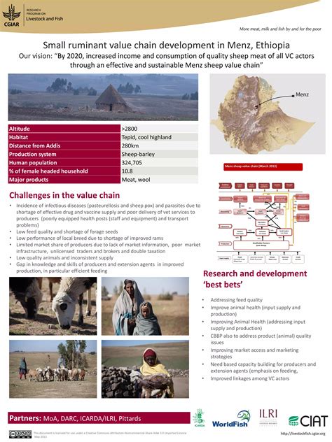 Small Ruminant Value Chain Development In Menz Ethiopia PDF