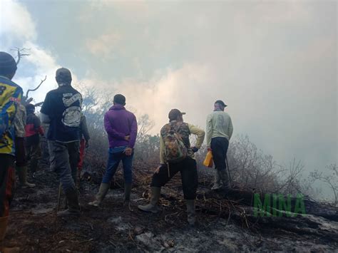 Hutan Lindung Di Lereng Gunung Slamet Terbakar