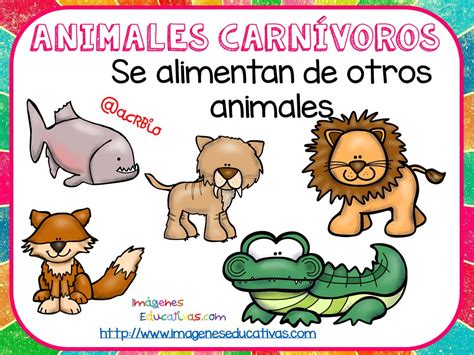 Tipos De Animales Claseficación 7 Imagenes Educativas