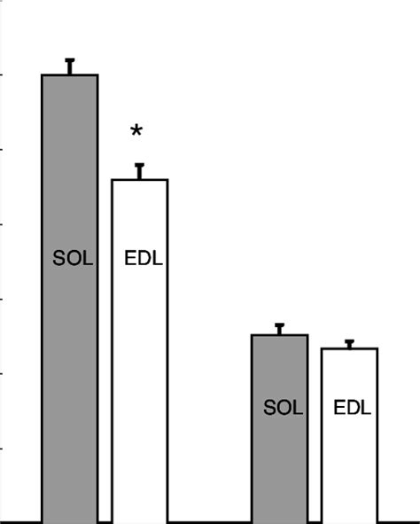 Initial And Net Efficiencies Of Soleus And Edl Initial And Net