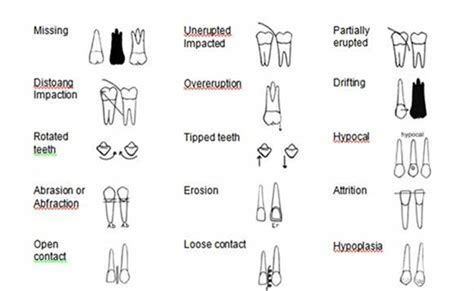 Dental Charting Symbols And Abbreviations