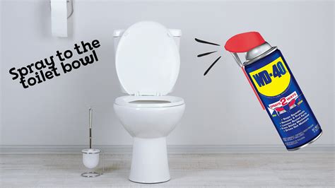 Wd 40 To Clean Toilet Really Checkout What We Discovered