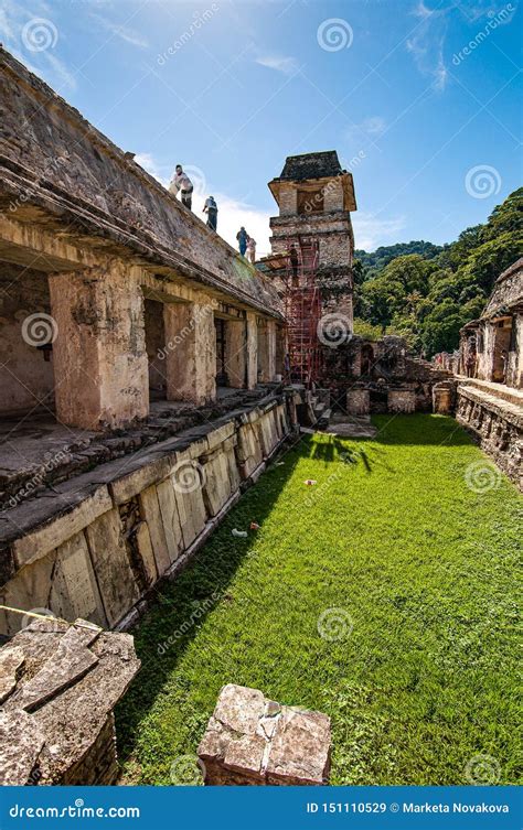 Pyramids And Ancient Buildings In Archaeological Site Of Palenque ...